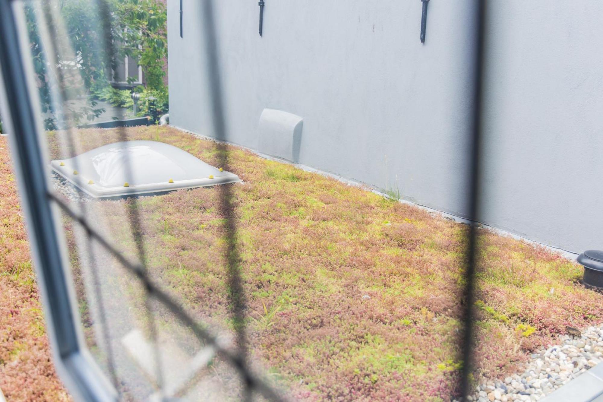 Appartement Haya Historic - Rose *